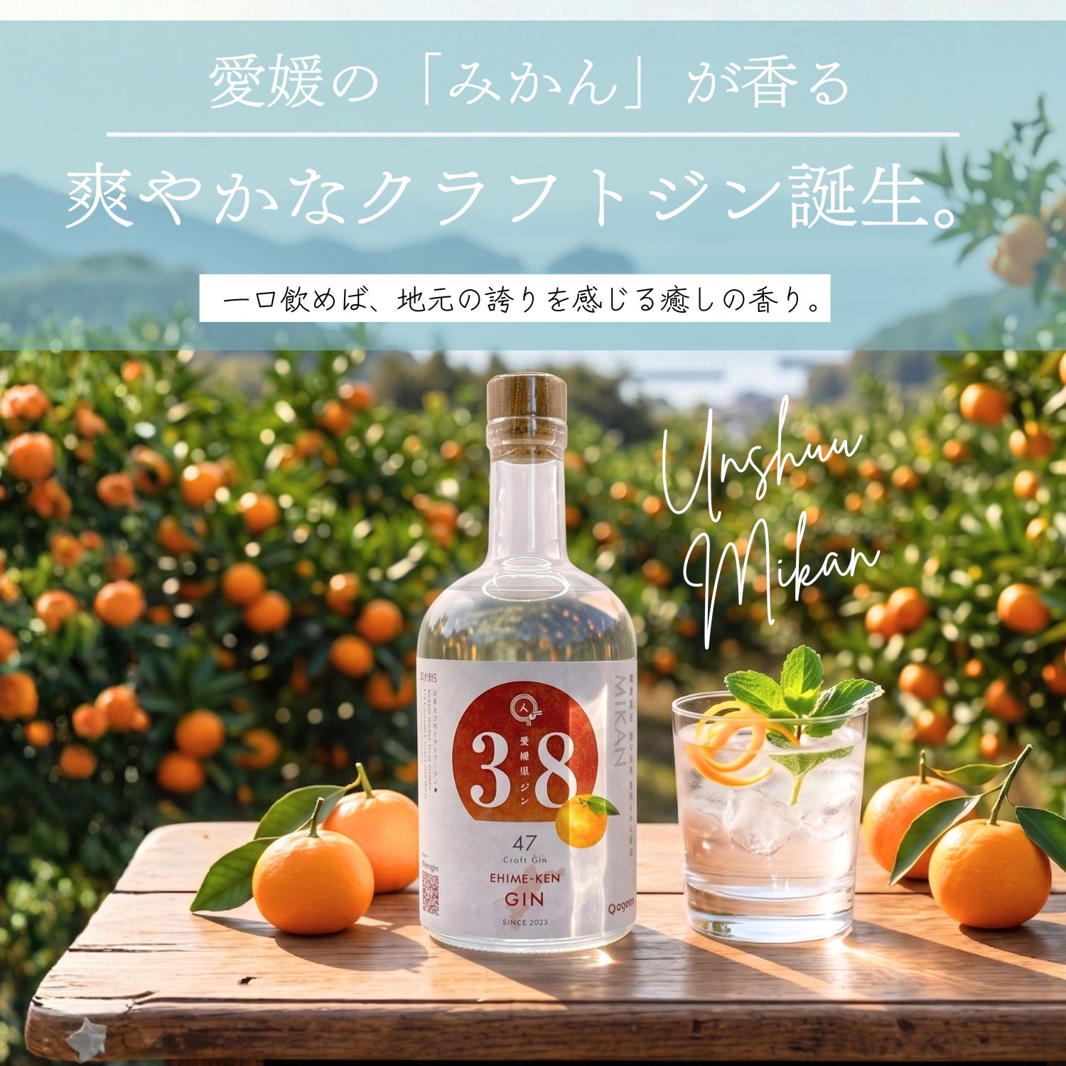 愛媛県ジン 西宇和産 温州みかん ボタニカル クラフトジン 500ml ご当地 GIN サステナブル 愛媛県産 温州みかん ペースト 使用 地酒 お酒 アルコール agataJapan 送料無料｜agataJapan 15,385円