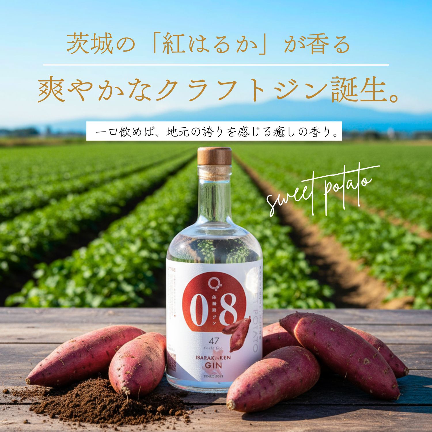 楽天市場】埼玉県ジン ジン クラフトジン お酒 アルコール 埼玉