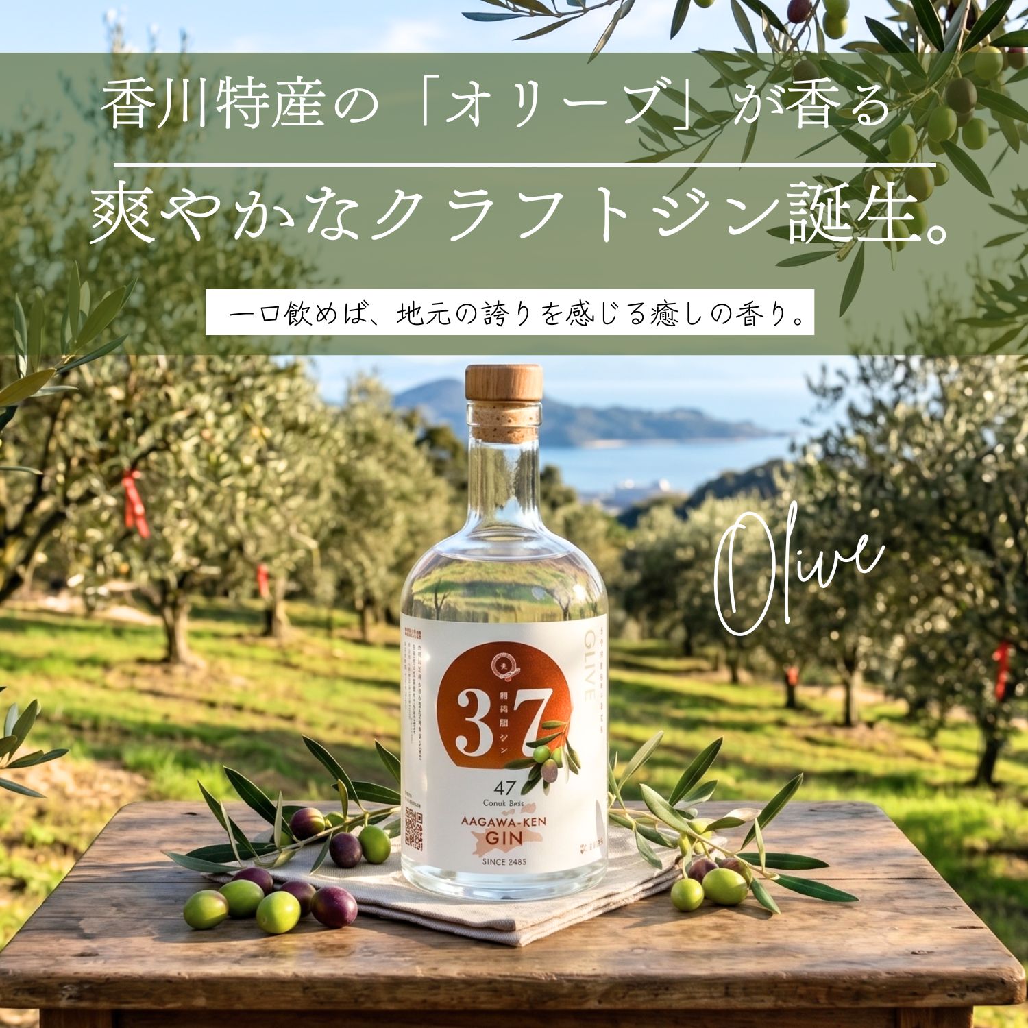 香川県ジン オリーブ ボタニカル クラフトジン 500ml×1本 ご当地 GIN サステナブル 香川県産 特産 オリーブ使用 地酒 お酒 アルコール agataJapan 送料無料|agataJapan