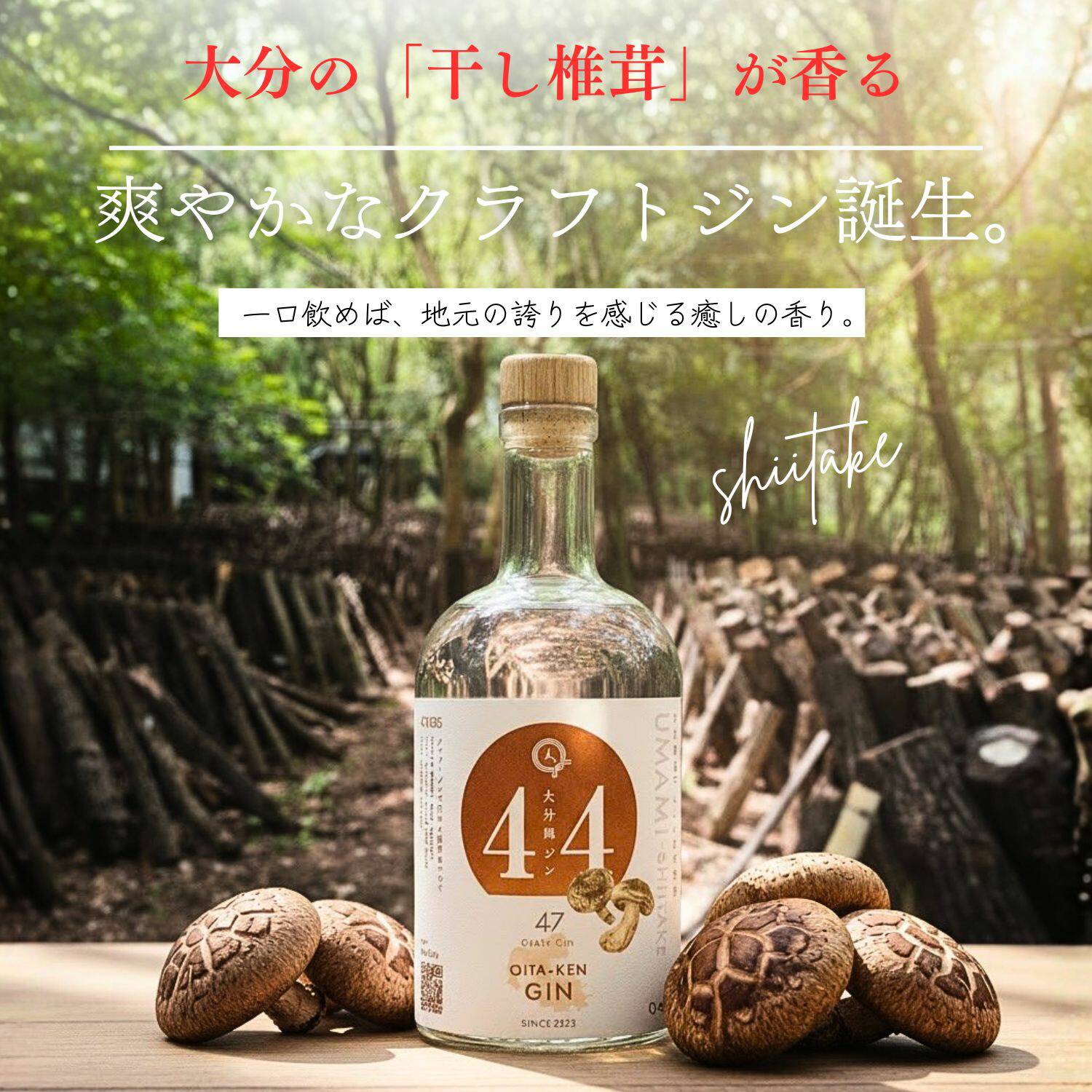 ジン 58e0765005de96fc16f583c4e574a7