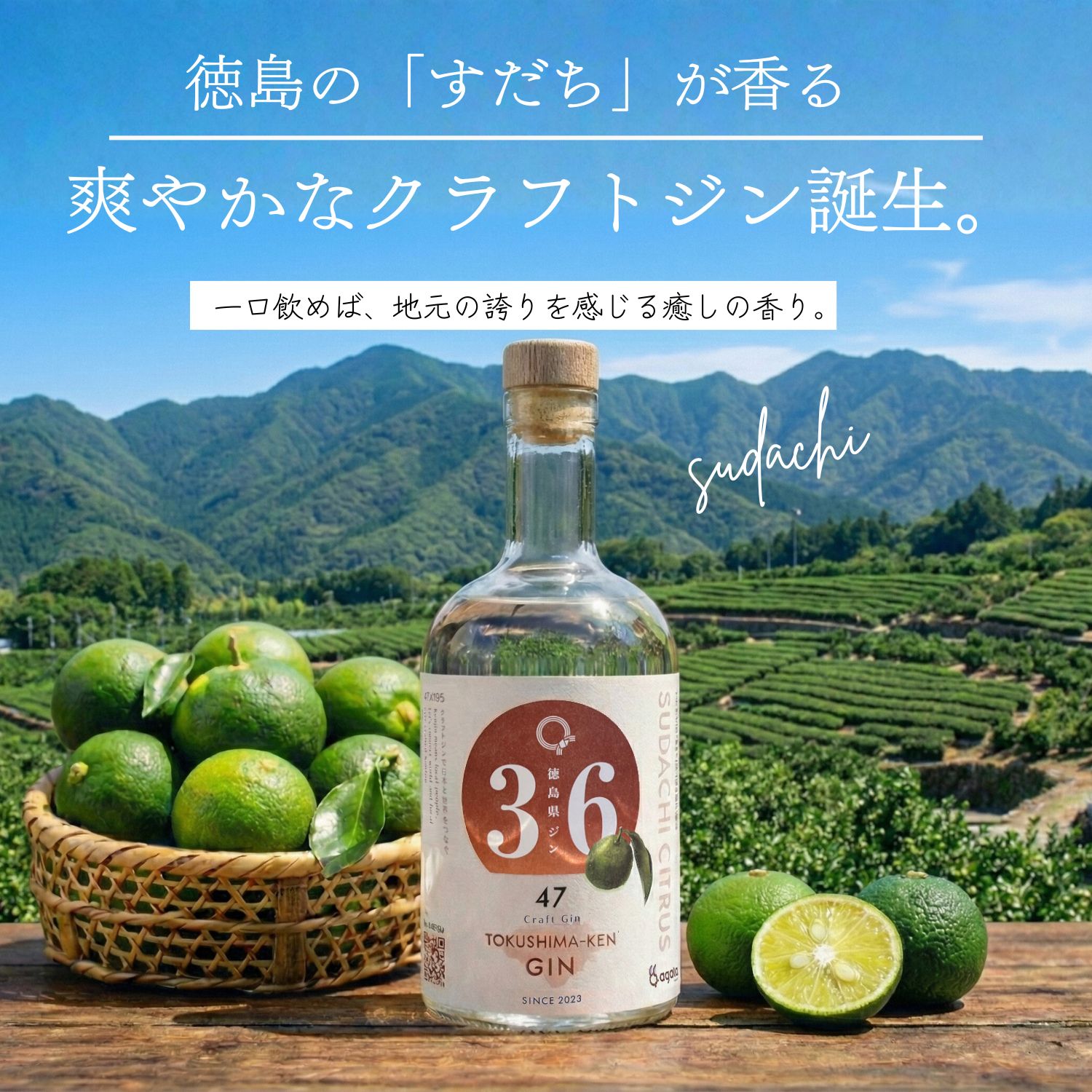 徳島県ジン すだち ボタニカル クラフトジン 500ml×1本 ご当地 GIN サステナブル 徳島県産すだち使用 地酒 お酒 アルコール agataJapan 送料無料