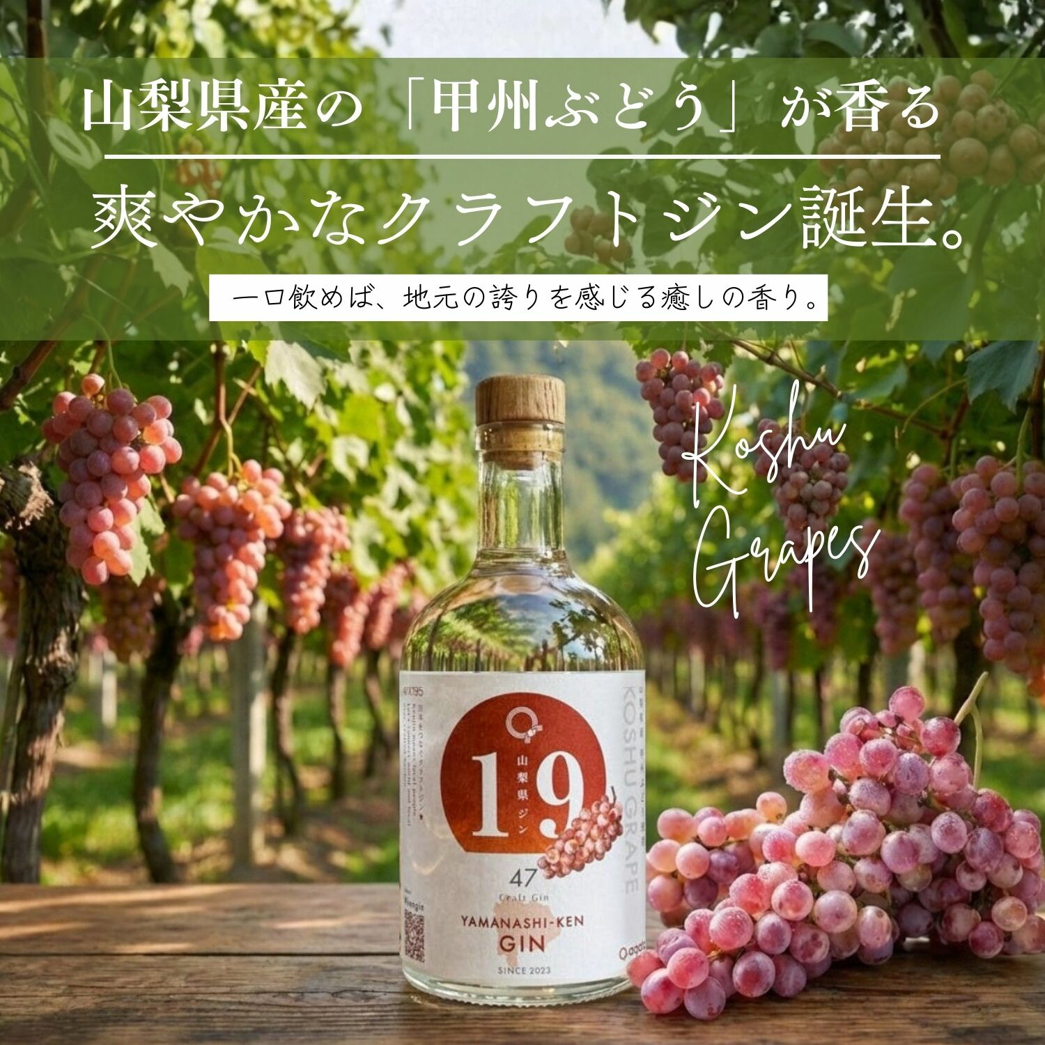 山梨県ジン 甲州ぶどう ボタニカル クラフトジン 500ml ご当地 GIN サステナブル 山梨県産 甲州 葡萄 使用 地酒 お酒 アルコール agataJapan 送料無料｜agataJapan