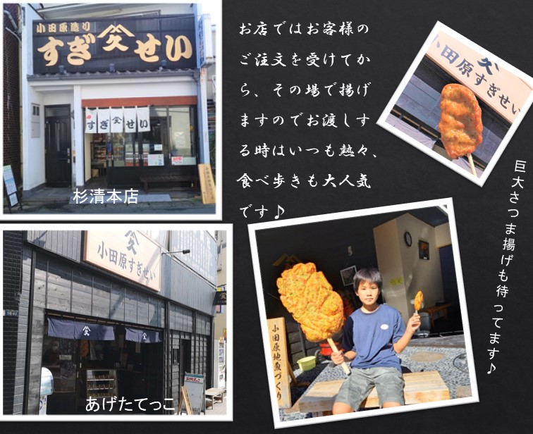 練り物お中元おでんセット小田原おでん小田原ご当地さつま揚げ4〜6人前9種類50個入り杉清鍋種お取り寄せおでん種具材さつまあげグルメヘルシー晩酌おつまみおかずお得具調理用真空かまぼこ蒲鉾