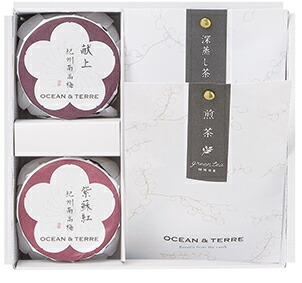 【送料無料送料込※北海道・沖縄除く】Premium紀州南高梅&日本茶セットB【ギフトセット/内祝い/出産内祝い/結婚内祝い/引き出物/お歳暮/七五三/法要/香典返し/粗供養/お供え/法事/プレゼント/快気祝い快気内祝い】