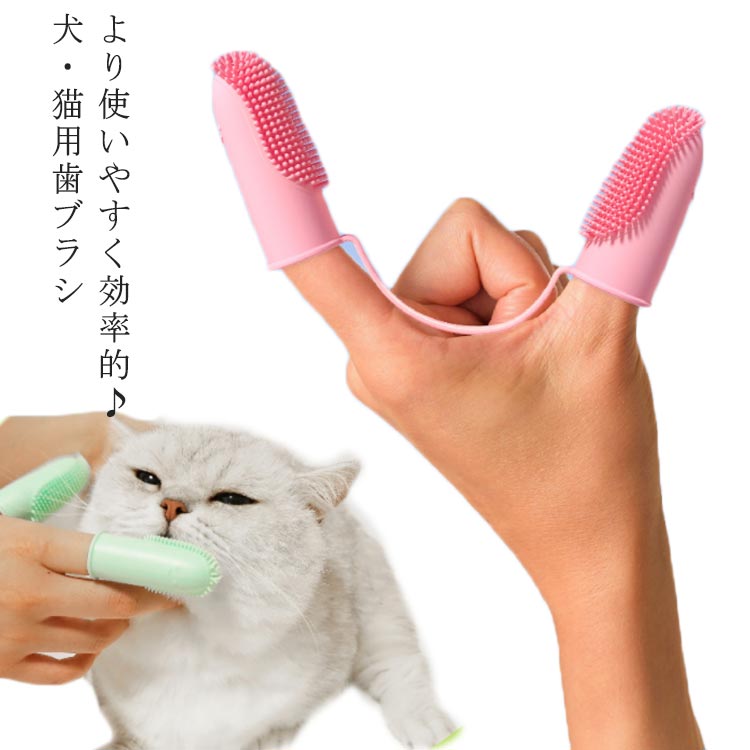 春先取りの ペット用歯ブラシ2個セット 猫 犬