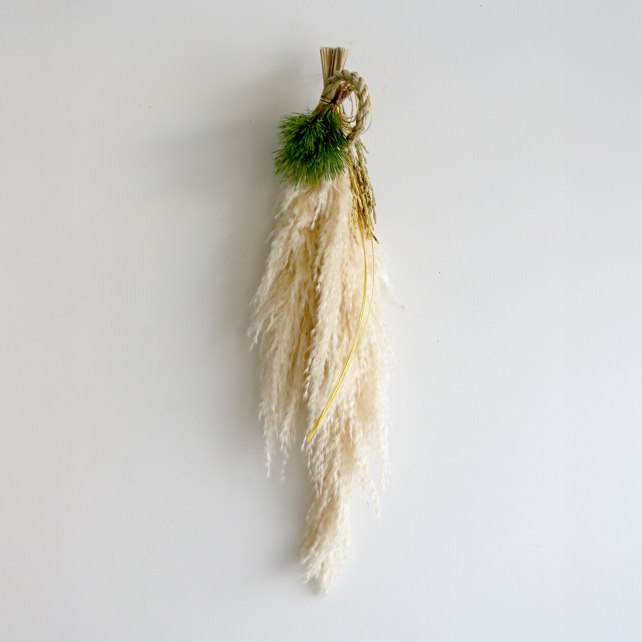 ドライフラワー 花材》☆即日出荷☆大地農園 マグノリアリーフ