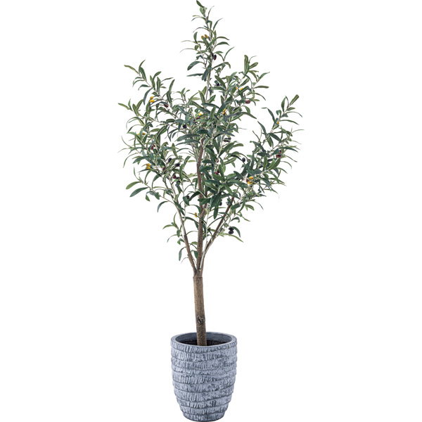 買取り実績 フェイクグリーン オリーブ GRN-17 人工 観葉植物 造花 観葉樹 リアル 約W44×D44×H152 fucoa.cl