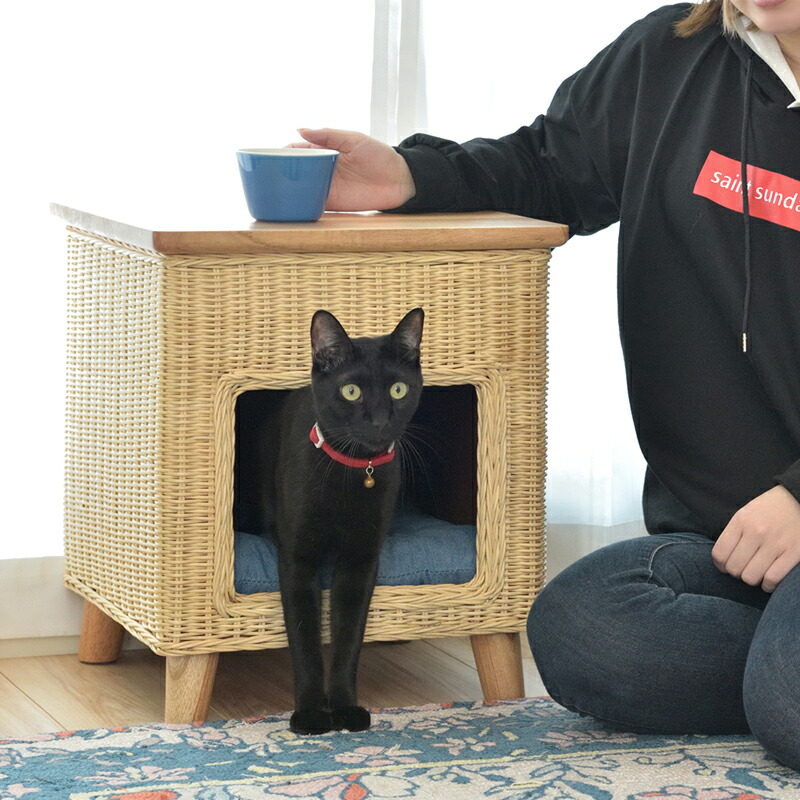 超熱 ラタン ペットハウススツール Pet 63 ペットと一緒にくつろぐ クッション付き 椅子 テーブル ネコ イヌ 猫 ベッド 室内用 屋内用 小型犬 ペット用品 グッズ キャットタワー 省スペース 犬用 猫用 かわいい おしゃれ リゾート ホテル ケージ 猫箱 箱座り Qdtek Vn