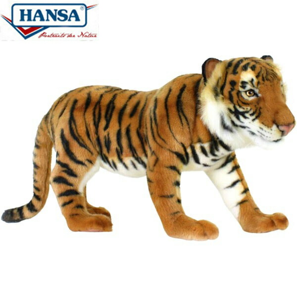 hansa tiger