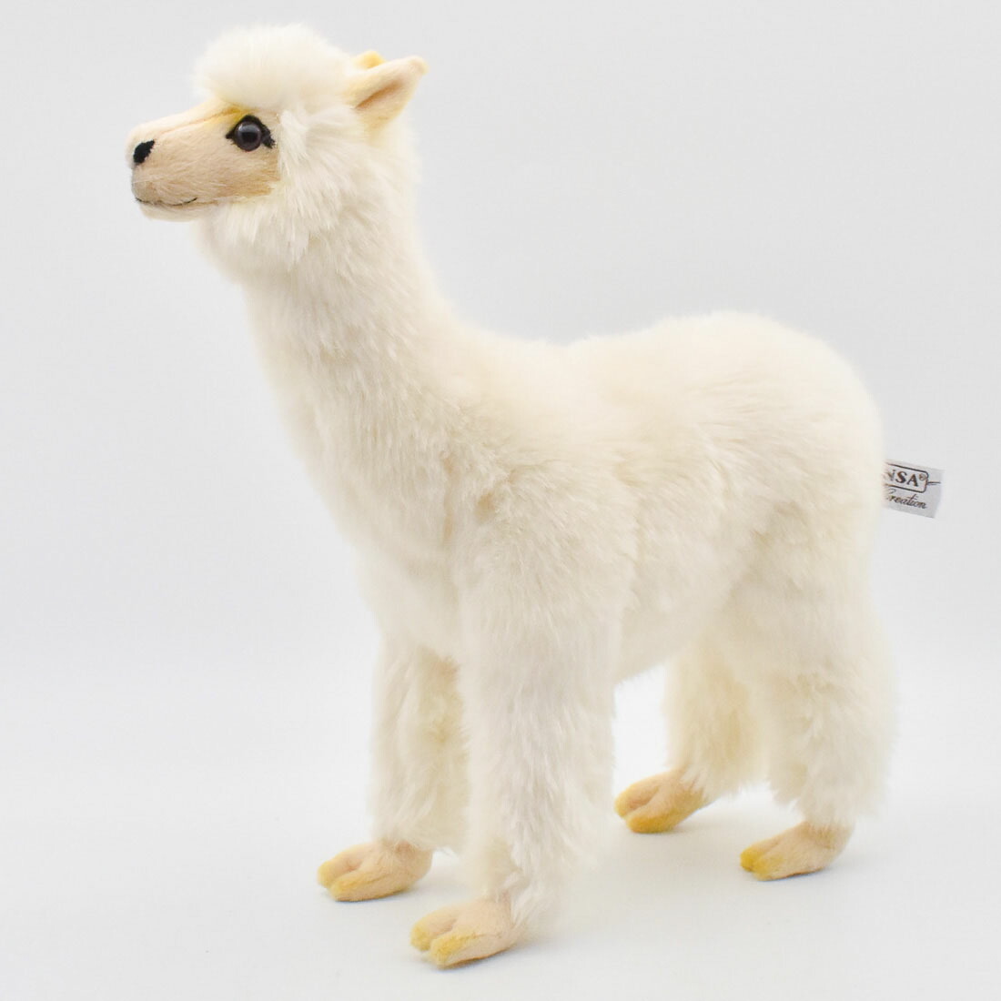 HANSA ハクトウワシ ハクトウワシ 29 | HANSA