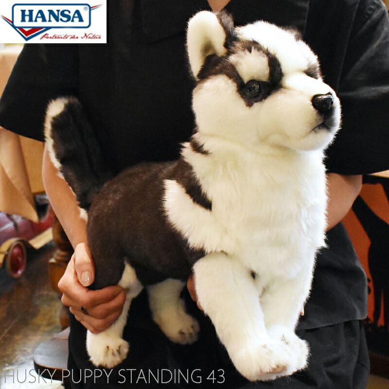 【美品】KOSEN シベリアンハスキー ぬいぐるみ 全長37cm 高さ28cm 楽天市場】ケーセン ぬいぐるみ kosen ハスキー（立ち） 37cm 犬
