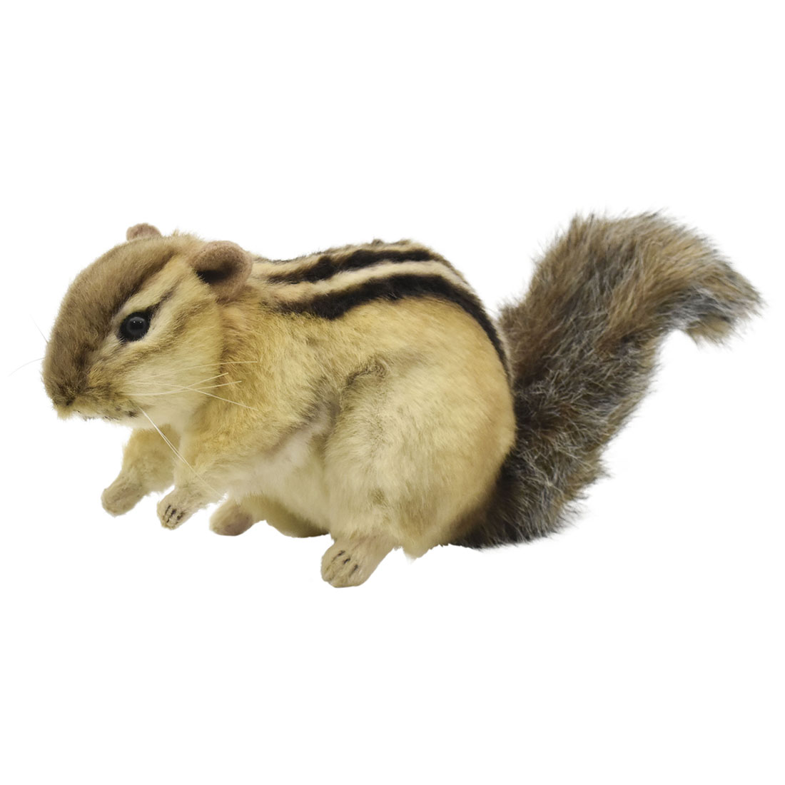 楽天市場 Hansa 7843 シマリス25 全長 25cm Chipmunk Bh7843 ぬいぐるみ リス りす ハンサ クリスマス 誕生日 プレゼント 動物 犬 猫 鳥 うさぎ ペンギン アニマル 置物 人形 フィギュア Koesen ケーセン カロラータ 大きい マスコット 実物大 大型 Agog 楽天市場店