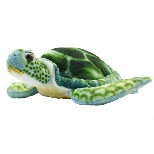 アカウミガメ　ぬいぐるみ 楽天市場】カメ ぬいぐるみ アカウミガメ Mサイズ : カロラータ