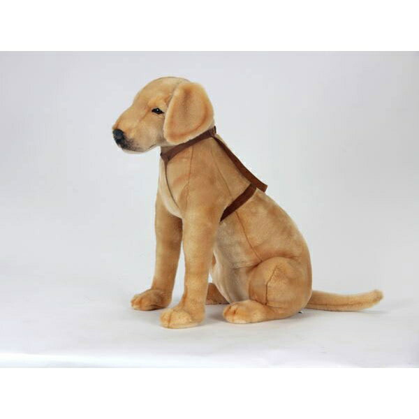 agogonus | Rakuten Global Market: Period limi