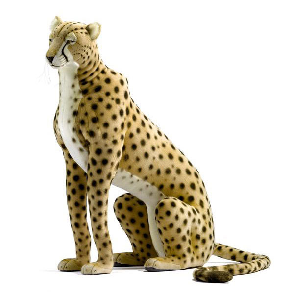 hansa cheetah