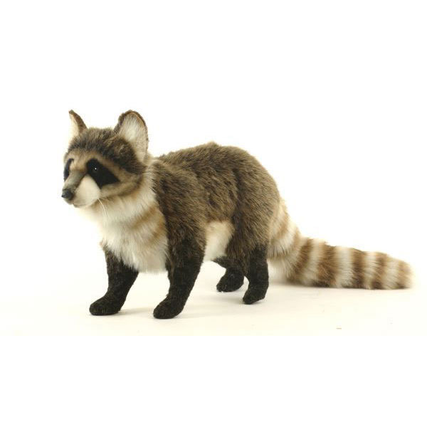 楽天市場】ハンサ【HANSA】リアルぬいぐるみアライグマ70cm 完成度高い