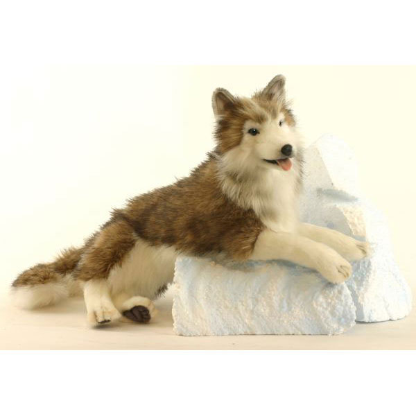 agogonus | Rakuten Global Market: HANSA Hu