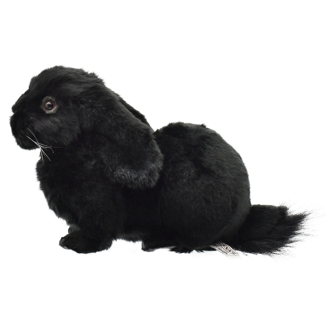 楽天市場 Hansa 8142 ホーランド ロップ ブラック 33cm 黒 Holland Lop Ear ぬいぐるみ ハンサ ロップイヤー たれ耳 兎 ウサギ クリスマス 誕生日 プレゼント 動物 犬 猫 鳥 うさぎ ペンギン アニマル 置物 人形 Koesen ケーセン カロラータ 大きい マスコット