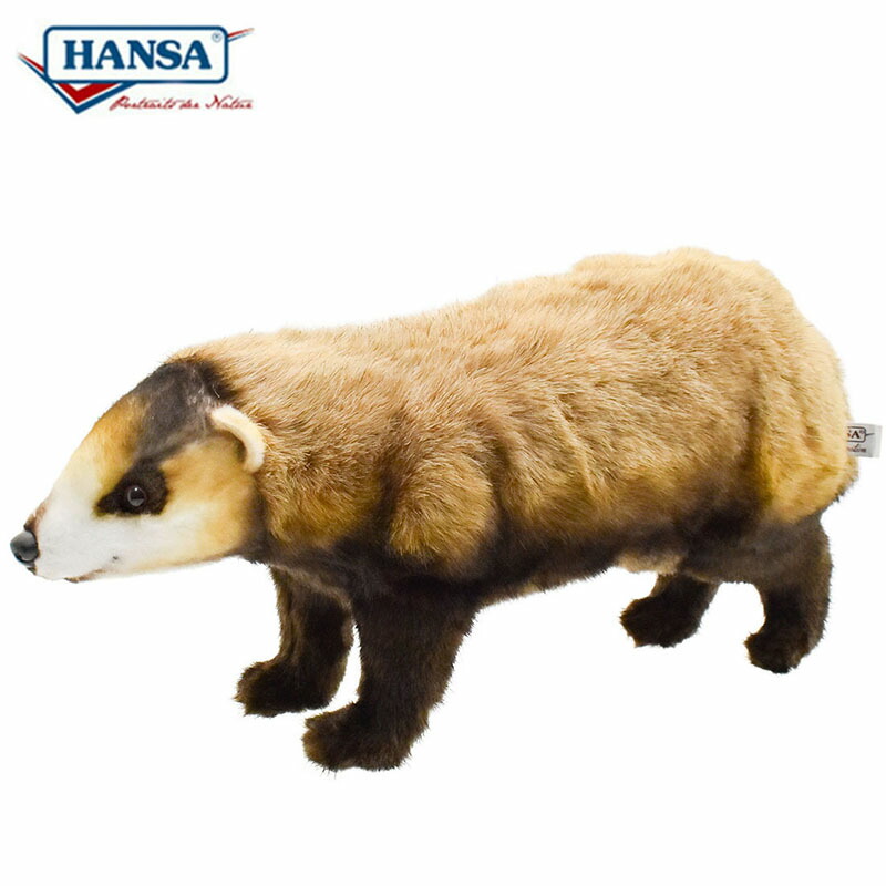 HANSA8148 ニホンアナグマ 54糎 JAPANESE BADGER BH8148 日本特徴ある種 穴熊 ぬいぐるみ ハンサ クリスマス 生まれ落ちる日 差し上げ物 毛の荒物 犬 猫 鳥 うさぎ ペンギン 毛の荒物 飾りつけ あやつり人形 図形 KOESEN ケーセン 気が大きい マスコット 実物大 大型
