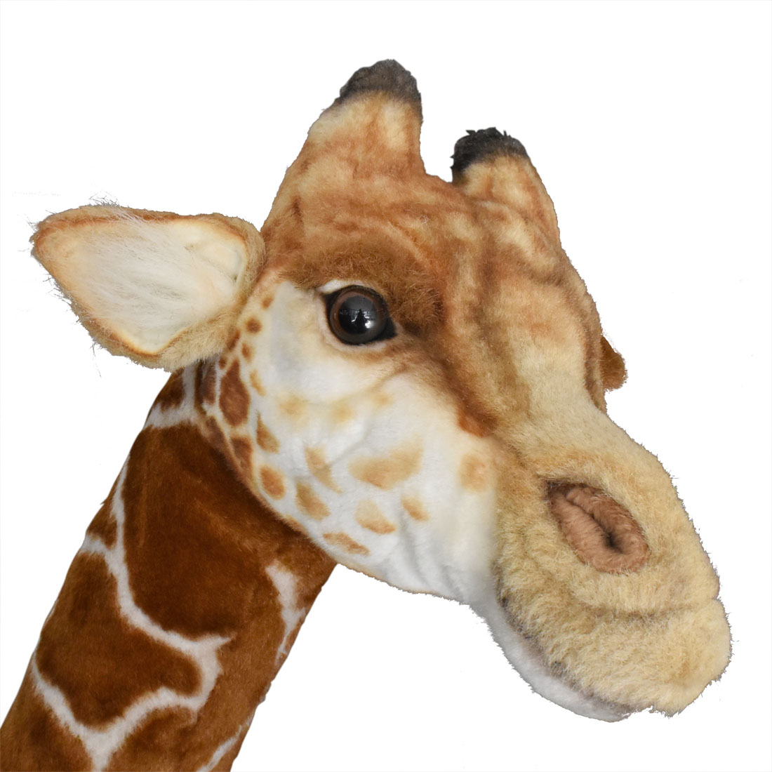 楽天市場 Hansa 6908 キリン180 全長 180cm Giraffe Bh6908 ぬいぐるみ ハンサ クリスマス 誕生日 プレゼント 動物 犬 猫 鳥 うさぎ ペンギン アニマル 置物 人形 フィギュア Koesen ケーセン カロラータ 大きい マスコット 実物大 大型 Agog 楽天市場店