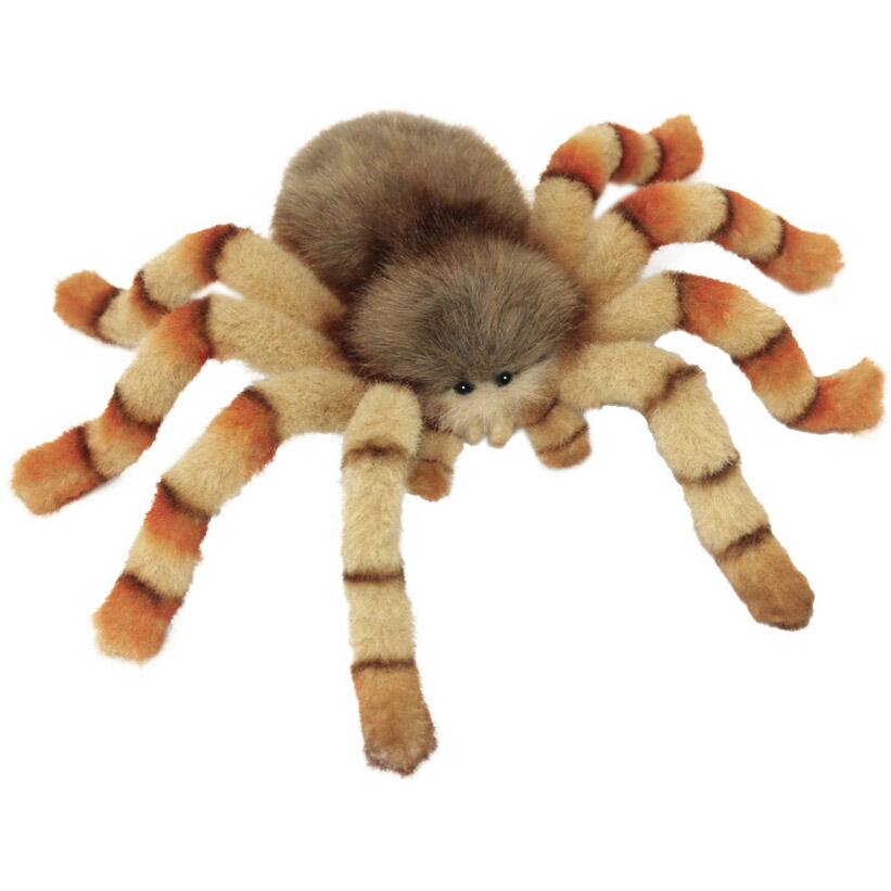 毒蜘蛛 カバキコマチグモ - Wikipedia