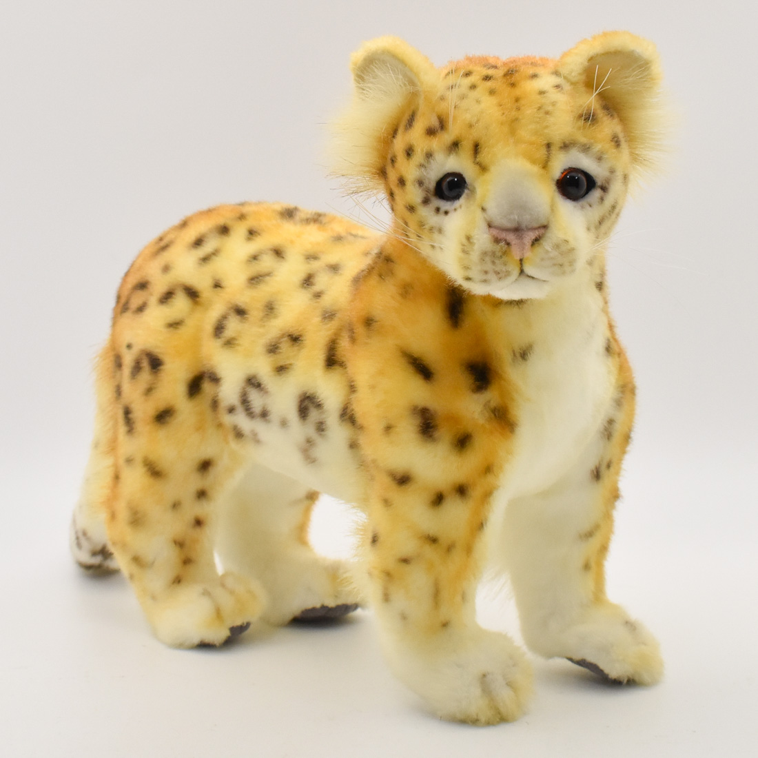 楽天市場】HANSA 6999 ユキヒョウ70 全長：70cm SNOW LEOPARD JACQ