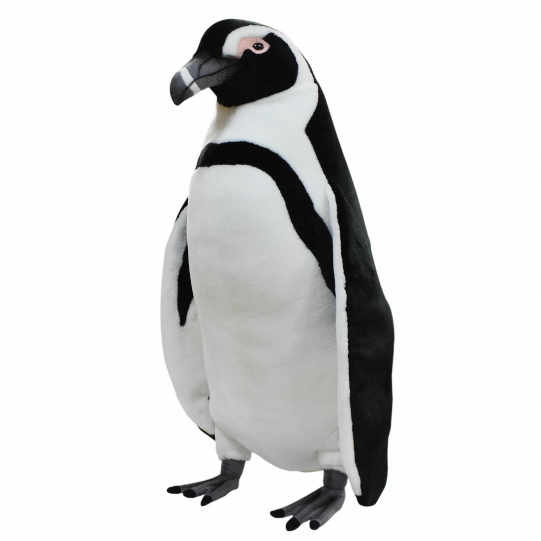ペンギン EjMww7cVoAEwmQK.jpg