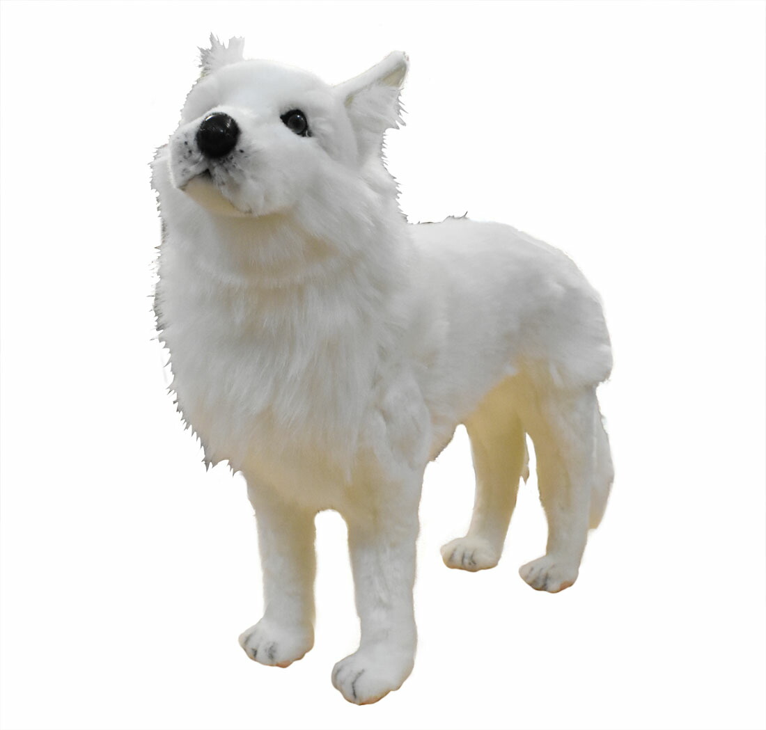 楽天市場】ワイルドリパブリック オオカミ ぬいぐるみ ジャンボ