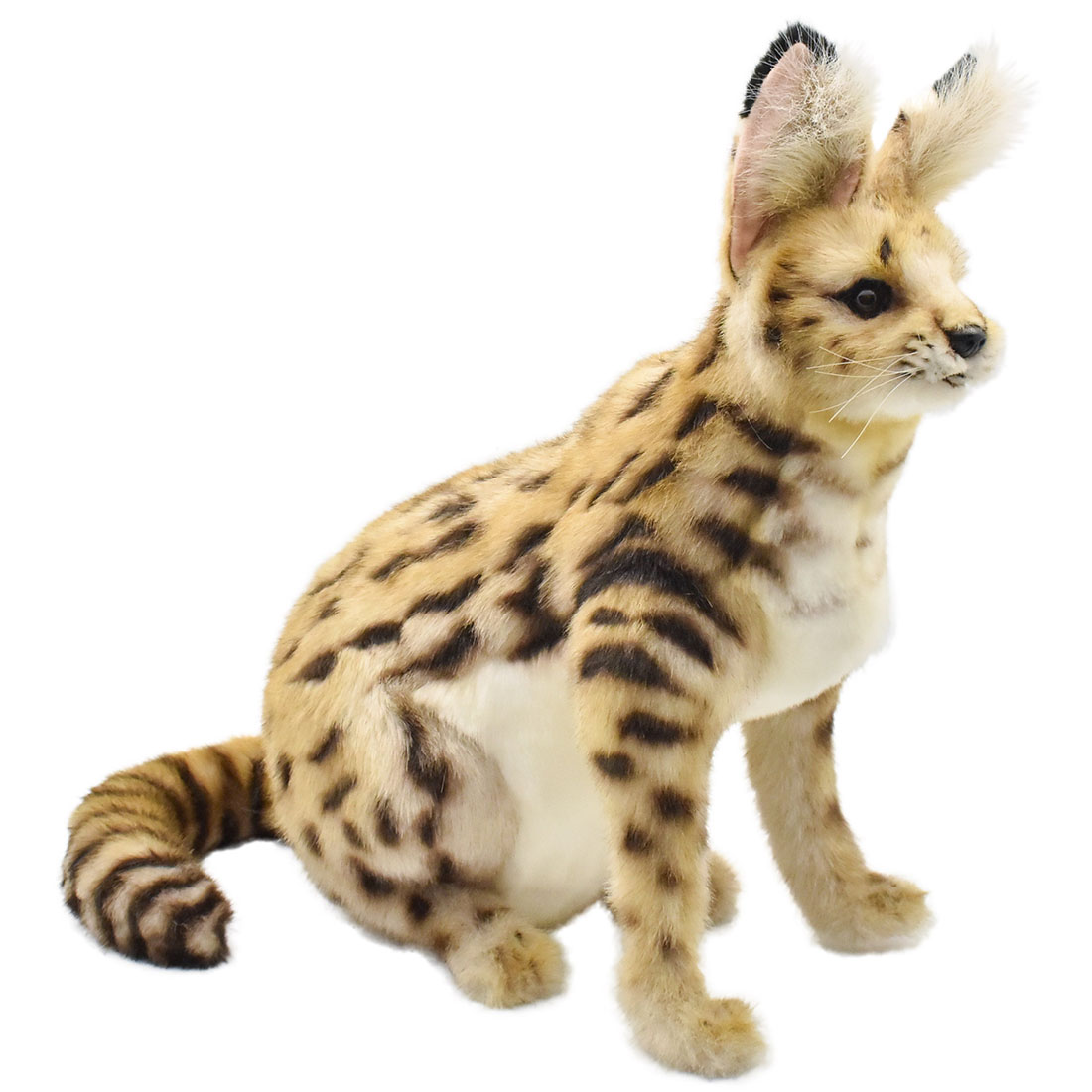 HANSA サーバルキャット 44 L44(珊) 7373 AFRICAN SERVAL CAT SITTING ぬいぐるみ ハンサ クリスマス 生まれ落ちる日 差し上げ物 毛の荒物 犬 猫 鳥 うさぎ ペンギン 毛の荒物 飾りつけ あやつり人形 図形 KOESEN ケーセン 大層らしい マスコット 実物大 大型 虎 百獣の王