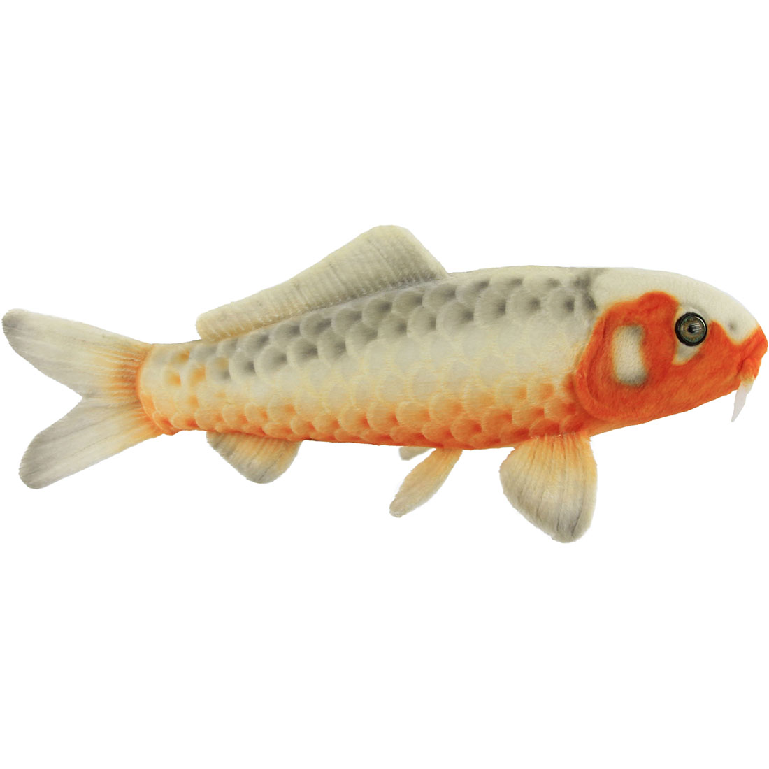 楽天市場】HANSA BH8282 錦鯉 白写り 52 KOI 鯉 コイ アクアリウム