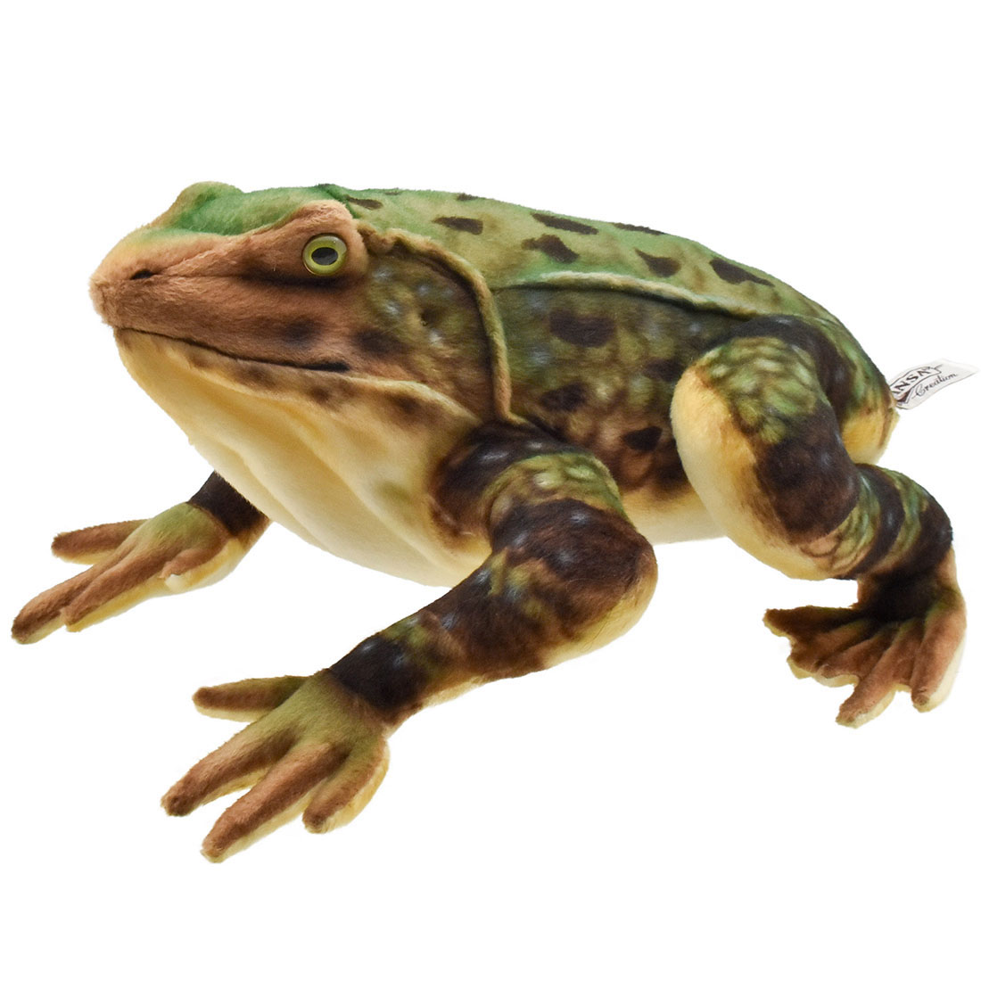 HANSA ゴライアスガエル 35 BH8575 カエル 蛙 ぬいぐるみ ハンサ カエル 蛙 世界最大 爬虫類 は虫類 クリスマス 誕生日 プレゼント 動物 犬 猫 鳥 うさぎ ペンギン アニマル 置物 人形 フィギュア リアル 大きい マスコット 実物大 大型｜agog　店