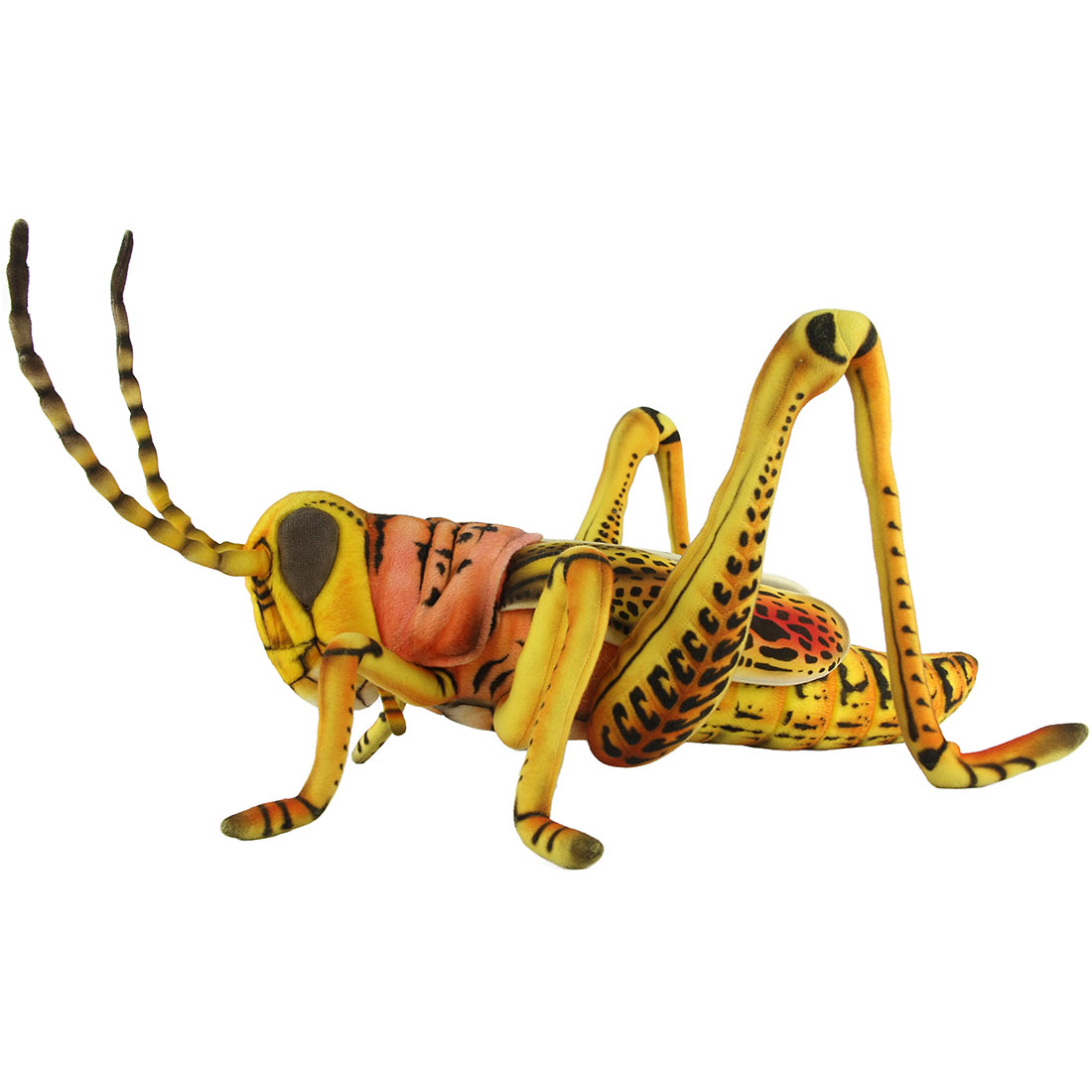 HANSA 巨大 バッタ 84 ぬいぐるみ BH8604 GRASSHOPPER 昆虫 虫 リアル グラスホッパー ぬいぐるみ ハンサ 誕生日 プレゼント 動物 犬 猫 鳥 うさぎ ペンギン アニマル 置物 人形 フィギュア 大きい マスコット 実物大 大型 ビッグ おすすめ かわいい おしゃれ とんぼ|agog 店