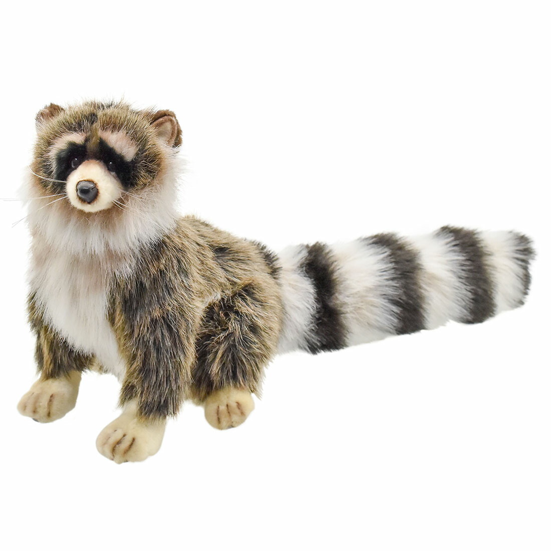 楽天市場】ぬいぐるみ アライグマ あらいぐま たぬき タヌキ 雑貨