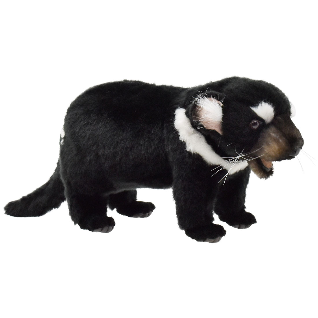 楽天市場】ケーセン ぬいぐるみ kosen タスマニアデビル 51cm