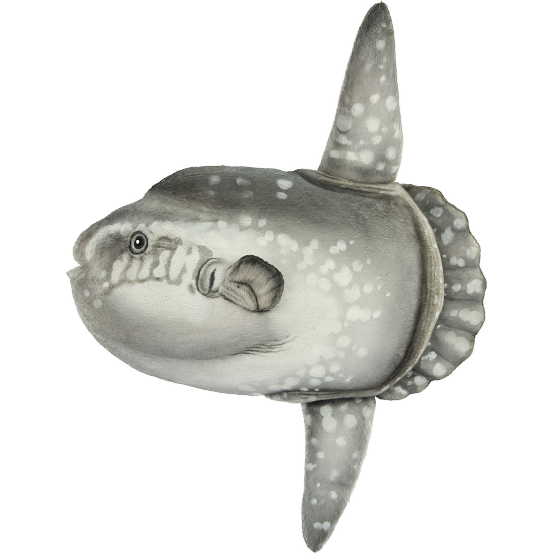 HANSA 翻車魚 52 ぬいぐるみ BH8478 SUN FISH 魚 本当の ハンサ 生まれ落ちる日 差し上げ物 毛の荒物 犬 猫 鳥 うさぎ ペンギン 毛の荒物 飾りつけ あやつり人形 図形 馬鹿でかい マスコット 実物大 大型 途轍も無い ビッグ おすすめ 可愛らしい 今めかしい