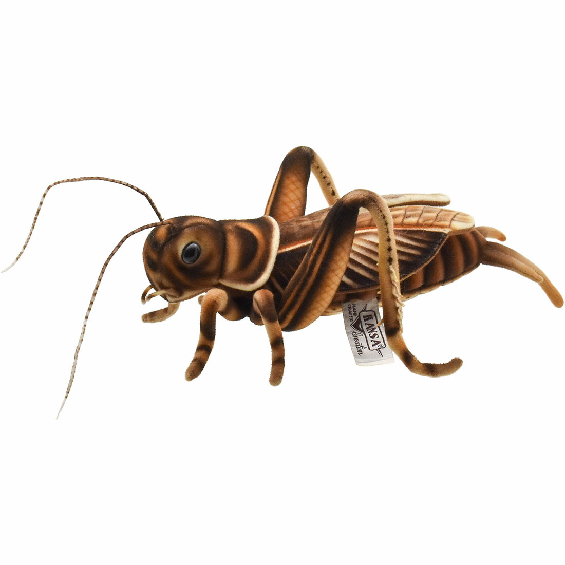 HANSA 松虫 27 ぬいぐるみ BH8579 CRICKET 虫けら 虫 本当の ハンサ 生まれ落ちる日 差し上げ物 毛の荒物 犬 猫 鳥 うさぎ ペンギン 毛の荒物 飾りつけ あやつり人形 図形 馬鹿でかい マスコット 実物大 大型 途轍も無い ビッグ おすすめ 可愛らしい 今めかしい