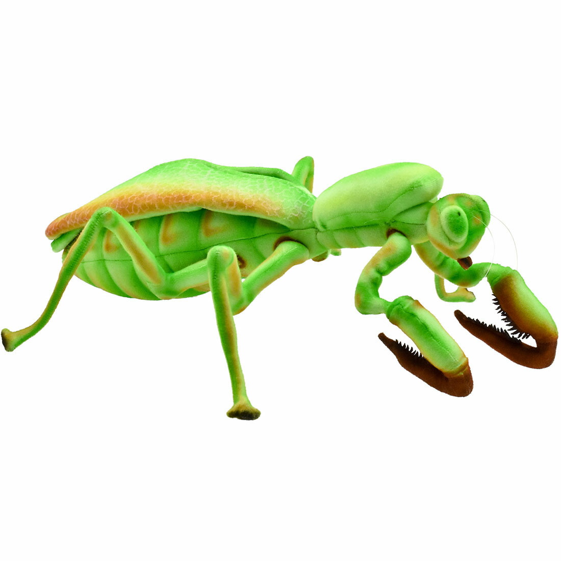 超希少品　かまきり　有名　 ペニー カマキリ ぬいぐるみ bh8588.jpg