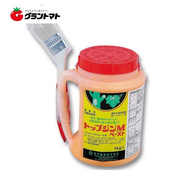 いの一番ジンM貼りつける 1kg×12個入り口・入口容れもの売りわたす ハケ付き添い人 あずま屋用細長い切口癒合剤 農薬 日本曹達