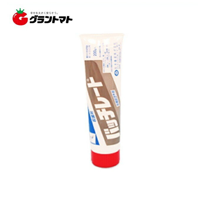 大人気  【MWOA8POTLFF】 限定デザイン