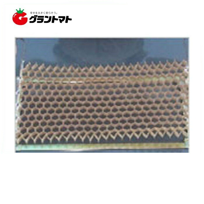 楽天市場】播種育苗用資材 チェーンポット CP-303 150冊 箱売り ネギ