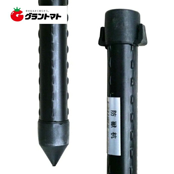 防獣杭 25×1800mm 50本入 イボタケ シンセイ防獣【取寄商品】 【取寄商品】
