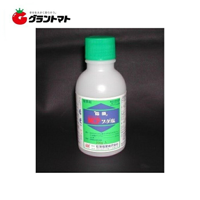 85％以上節約 MCPP液剤 500ml スギナやクローバーに効く芝 緑地用除草剤 丸和バイオケミカル 12時までのご注文で即日発送 休業日除く  discoversvg.com