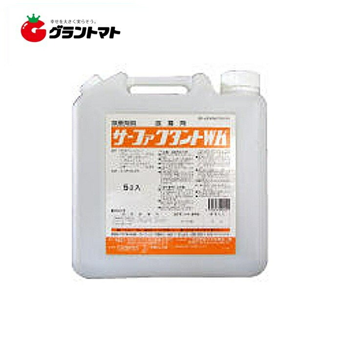 [今季注目 本日発送 ] MAE7OA4YI1E (MAE7OA4YI1E)