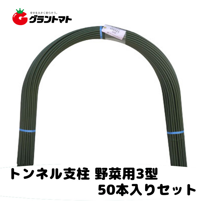 水平坑拠りどころ 11粍×2.4m 50本入 シンセイ 【取寄商いもの】