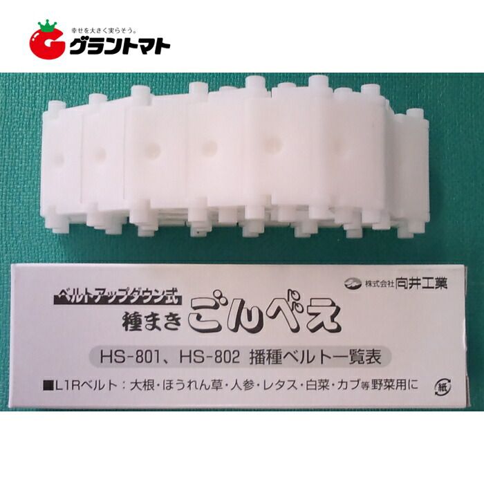 L1RベルトR2.5-0-28 種まきごんべえHS-801・802タイプ用 向井工業【取寄商品】 | グラントマト　楽天市場店