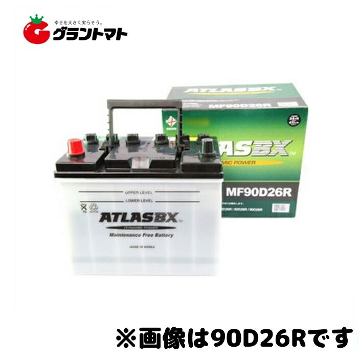 楽天市場】ATLASBX MF 115D31R オープンベント型 国産車バッテリー Dynamic Power AT アトラス : グラントマト  楽天市場店