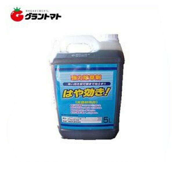 【楽天市場】はや効き 5L 除草剤 希釈タイプ 非農耕地用 グリホサート34% MCP入り シンセイ 即日発送可能 : グラントマト 楽天市場店