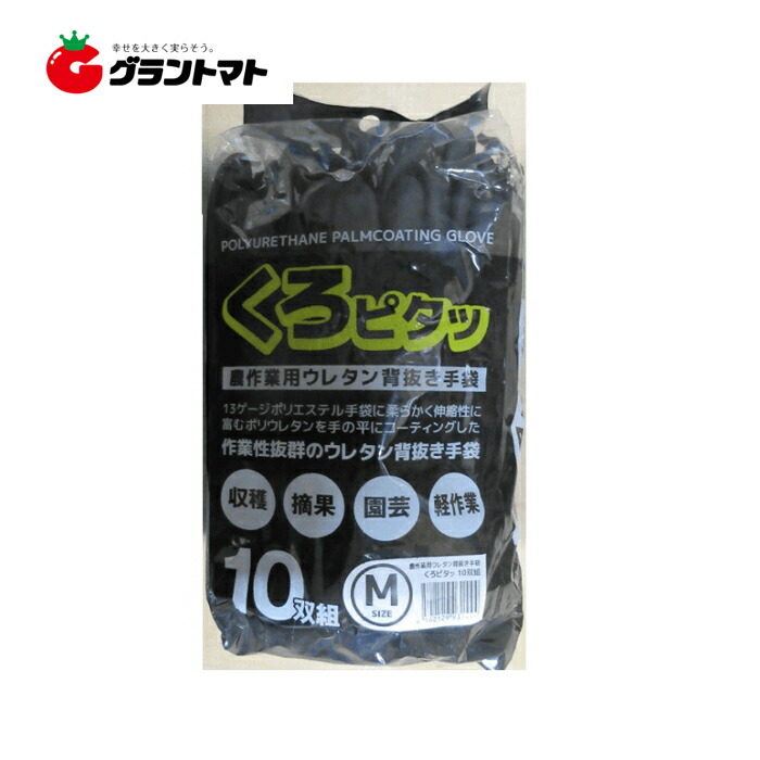 楽天市場】天然ゴム背抜き手袋 レッド LLサイズ 13ゲージ ライトシリーズ おたふく手袋 : グラントマト 楽天市場店