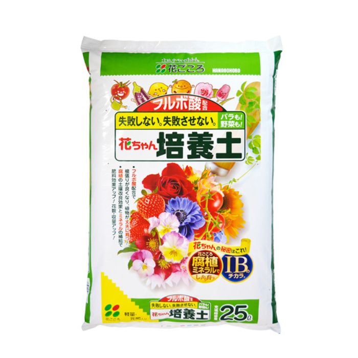 楽天市場】愛・菜・花 PG-10 発芽育苗器 愛菜花(あいさいか
