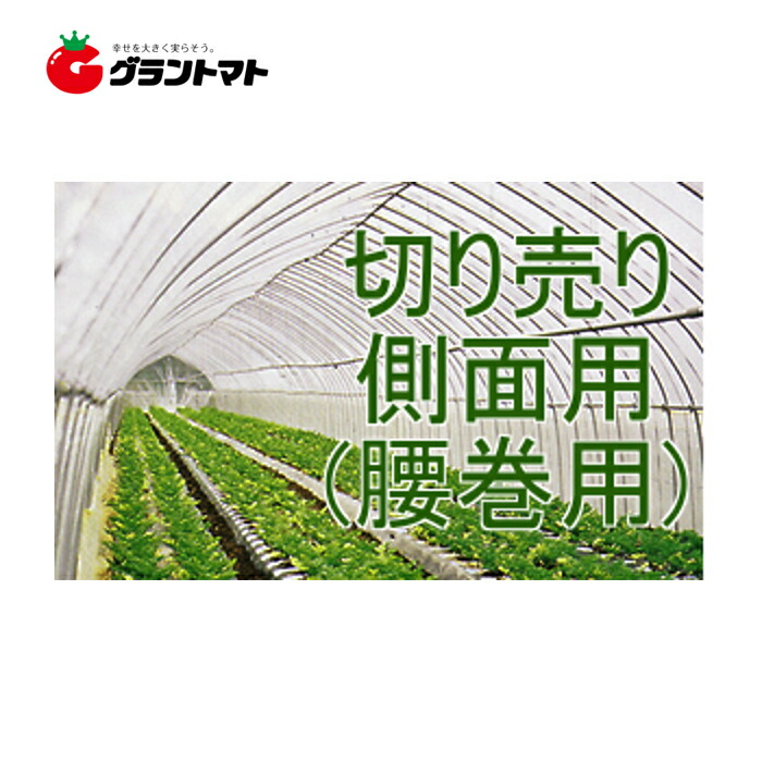 楽天市場】晴天 屋根用 0.15mm×400cm（中接） 切り売り1m ノンキリーあすか アキレス農ビ 【ビニールハウス】【取寄商品】 :  グラントマト 楽天市場店